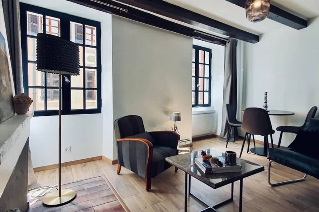 Le Carnot 2 Etoiles Hypercentre Vieille Ville Annecy Apartment