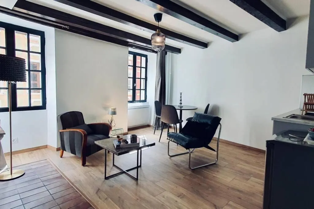 Apartment Le Carnot 2 Etoiles Hypercentre Vieille Ville Annecy